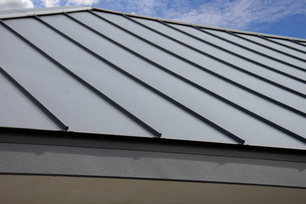 Skylights in Dallesport, WA